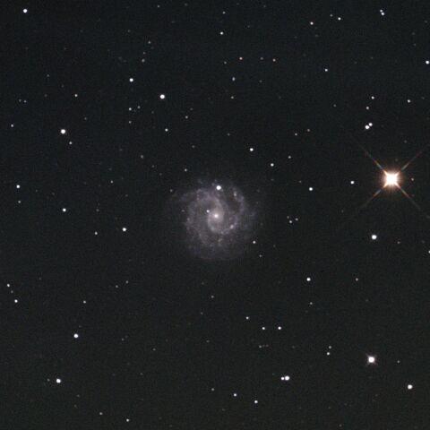 NGC3184 おおぐま座