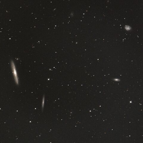 NGC4183 NGC4193 NGC4206 NGC4216 NGC4222 おとめ座