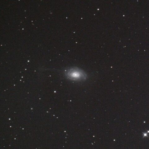 NGC4651 アンブレラ銀河 かみのけ座