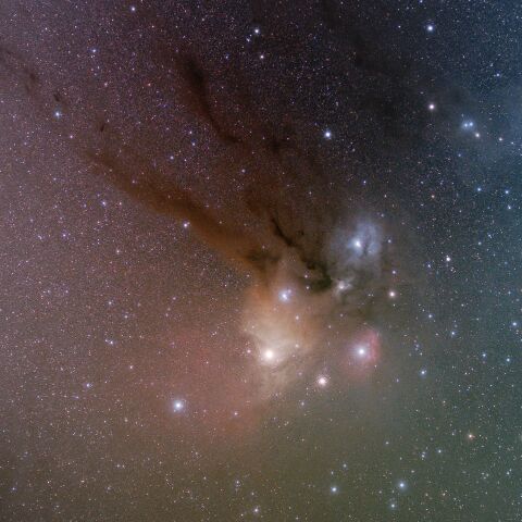 さそり座頭部 カラフルタウン IC4603 IC4604 IC4605 IC4606 Sh2-9 IC4592 青い馬頭星雲 さそり座