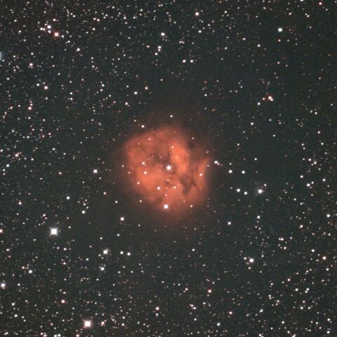 IC5146 まゆ星雲 はくちょう座