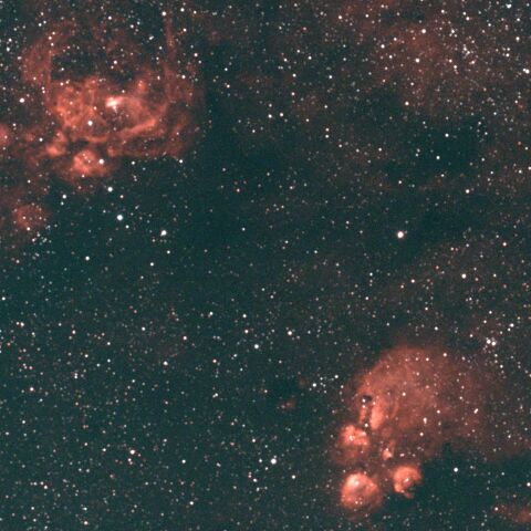 NGC6334 出目金星雲 NGC6357 彼岸花星雲 さそり座