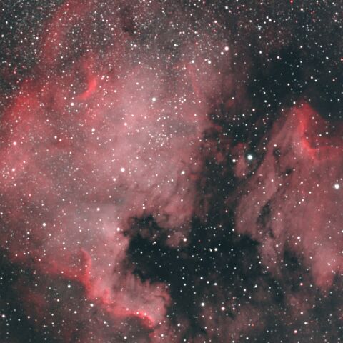 NGC7000 北アメリカ星雲 IC5067~5070 ペリカン星雲 はくちょう座