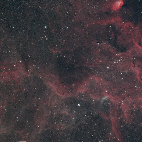 NGC6888 クレセント星雲 Sh2-101 チューリップ星雲 WR134 はくちょう座