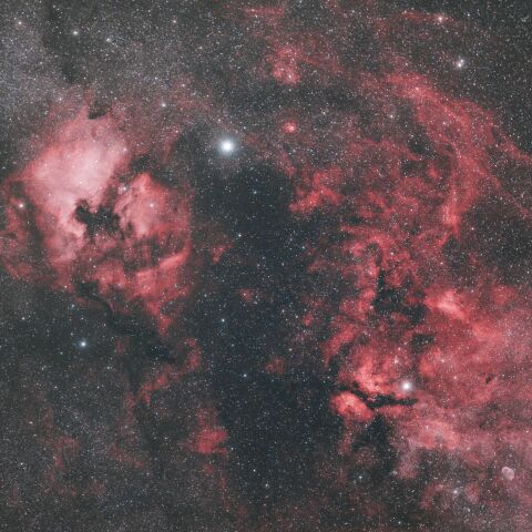 α(デネブ)~γ(サドル)付近 NGC7000 北アメリカ星雲 IC5067~5070 ペリカン星雲 はくちょう座