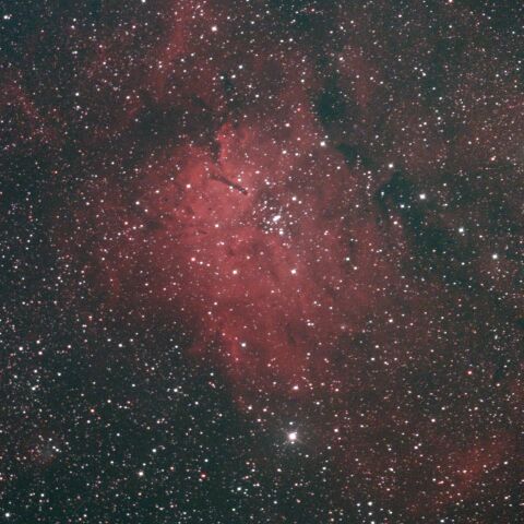 NGC6823 こぎつね座