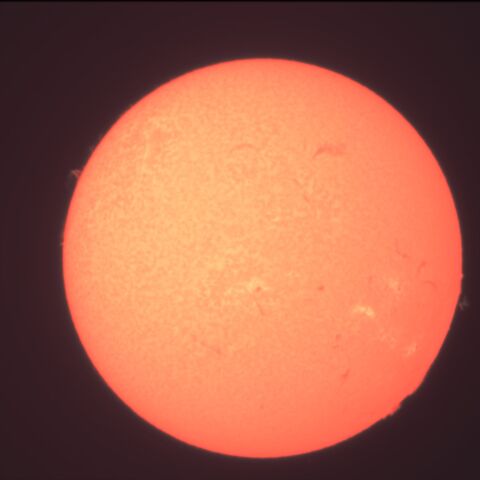 太陽 Hα 2026/08/03