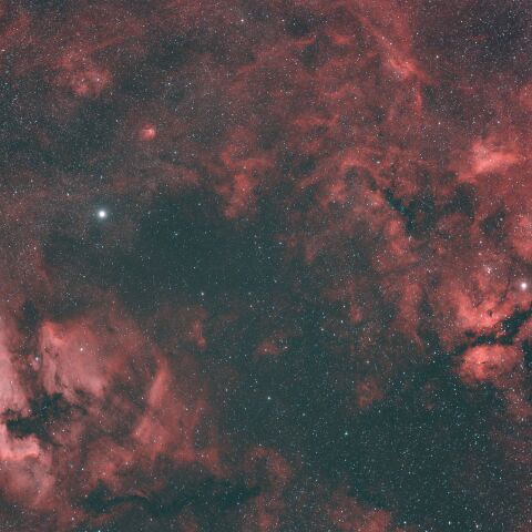 α(デネブ)~γ(サドル)付近 NGC7000 北アメリカ星雲 IC5067~5070 ペリカン星雲 Sh2-112 はくちょう座