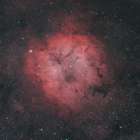 IC1396 ケフェウス座