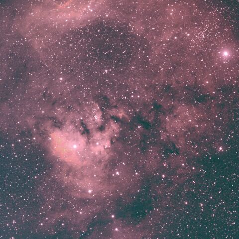 NGC7822 クエスチョンマーク星雲 ケフェウス座