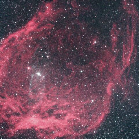 Sh2-129 こうもり星雲 ダイオウイカ星雲 ケフェウス座