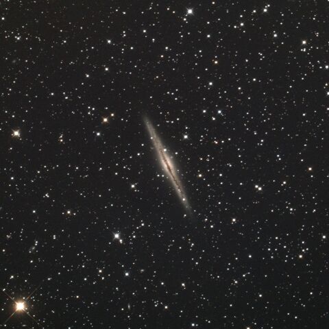 NGC891 アンドロメダ座