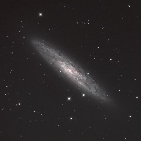 NGC253 ちょうこくしつ座