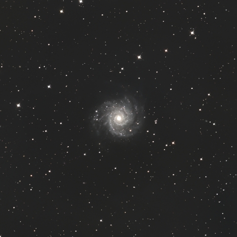 M74 ファントム銀河 うお座