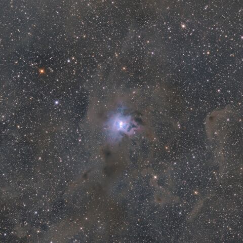 NGC7023 アイリス星雲 ケフェウス座