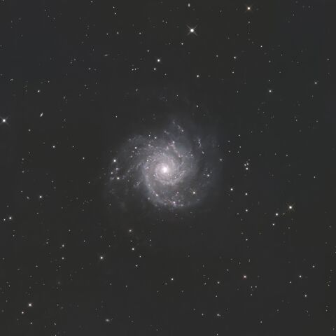 M74 うお座