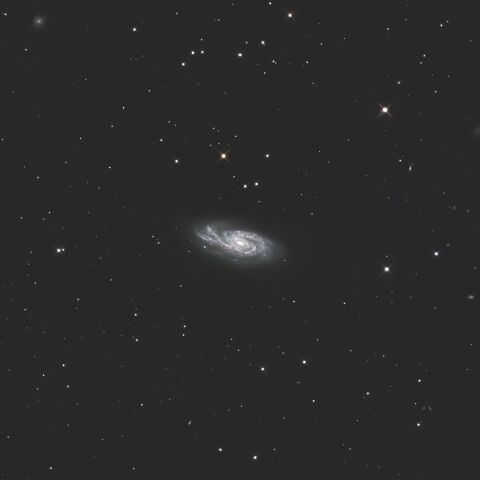 NGC908 くじら座