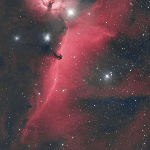 IC434 NGC2024 オリオン座