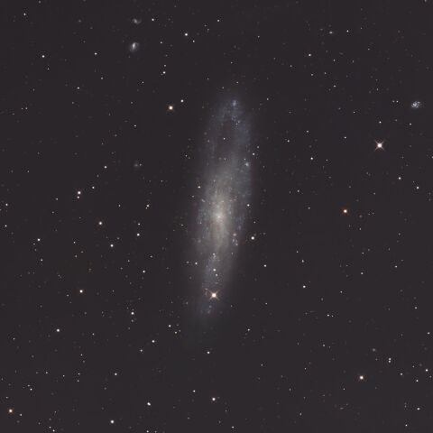 NGC247 くじら座