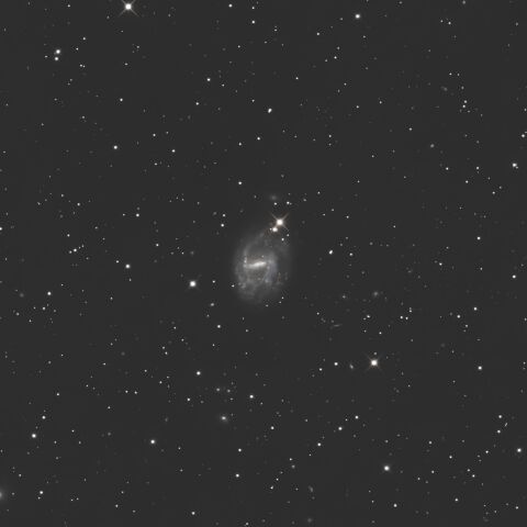 NGC7741 ペガスス座