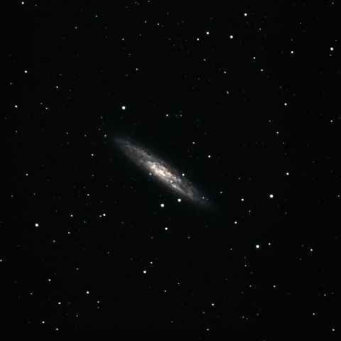 NGC253
