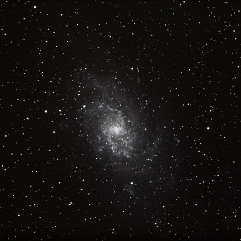 M33