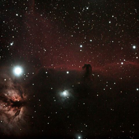 馬頭星雲と燃える木　　IC434/NGC2024