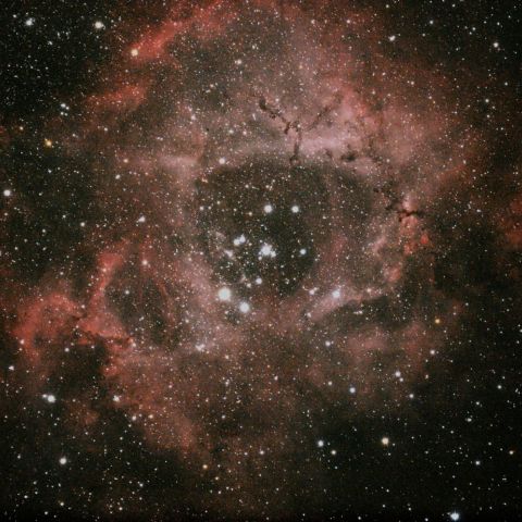 NGC2237 バラ星雲