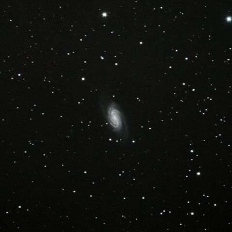 NGC2903　獅子の大鎌付近