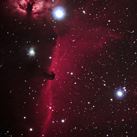 馬頭星雲と燃える木　　IC434/NGC2024