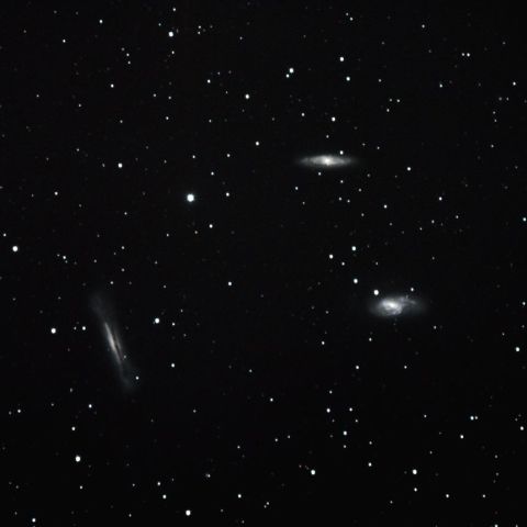 M65・M66・NGC3628　しし座のトリプレット