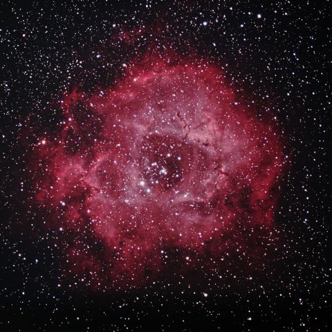 NGC2237 バラ星雲