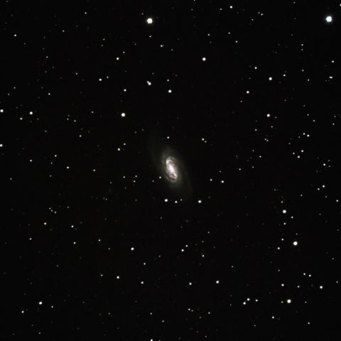 NGC2903　獅子の大鎌付近