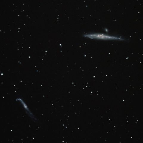 NGC4631・NGC4656　くじら銀河