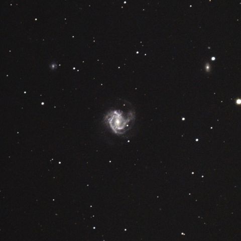 M61