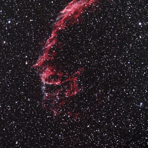 NGC6995 網状星雲
