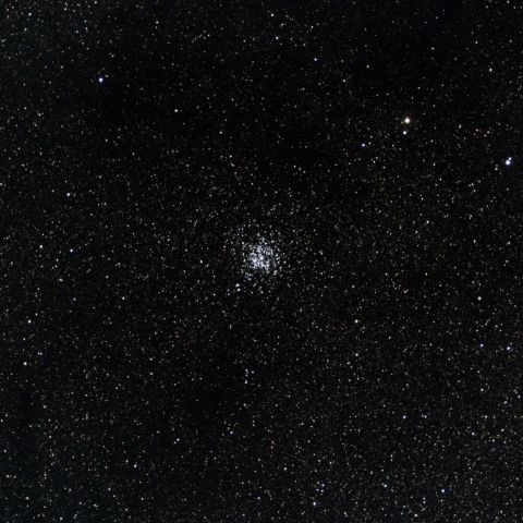 M11 野鴨星団