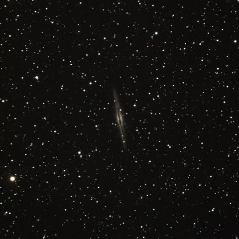 NGC891