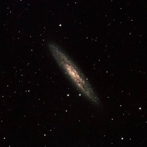 NGC253
