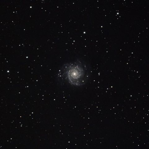 M74