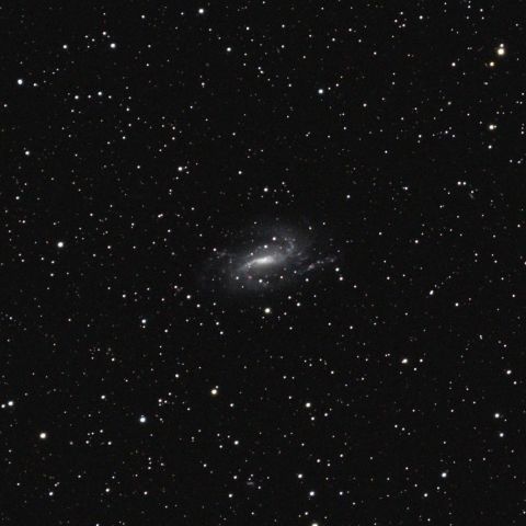 NGC925
