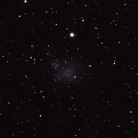 IC1613