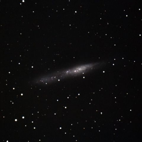 NGC55