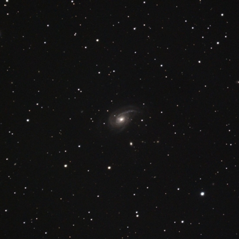 NGC772