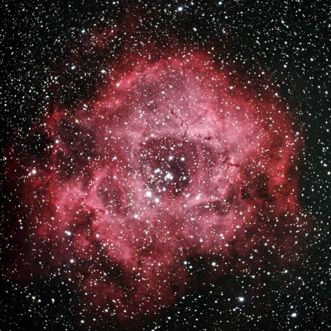 NGC2237 バラ星雲