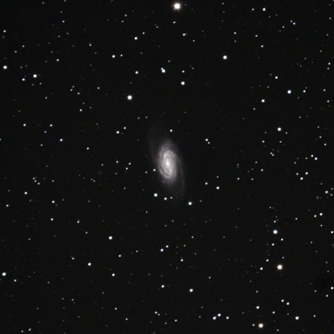 NGC2903