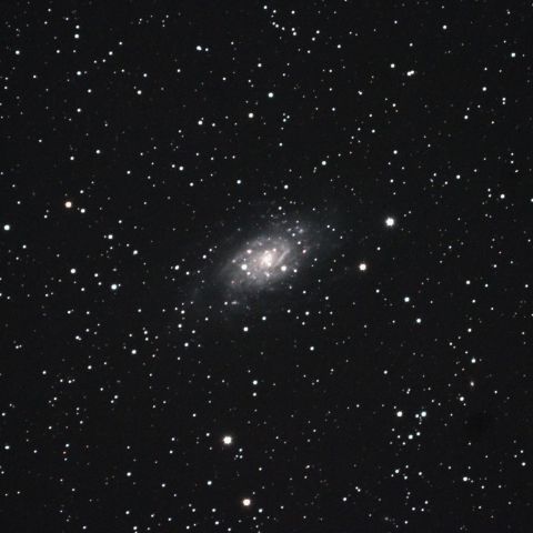 NGC2403