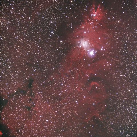 NGC2264 クリスマスツリー星団