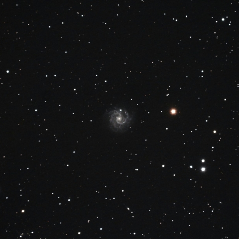 NGC3184 おおぐま座の銀河