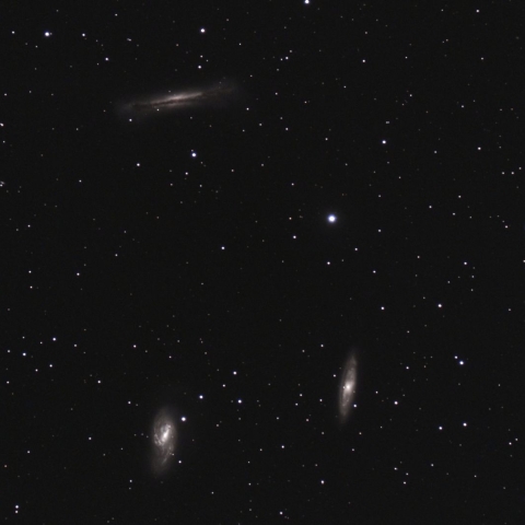 M65・M66・NGC3628　しし座のトリプレット